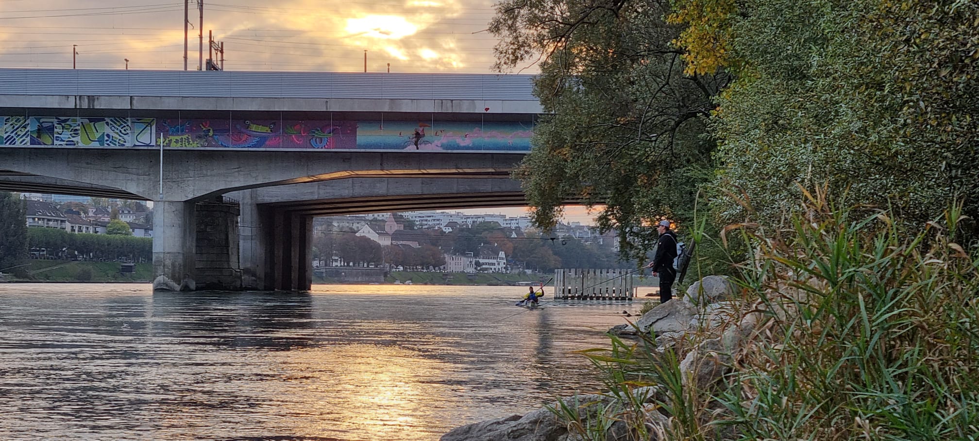 Fliegenfischen am Rhein